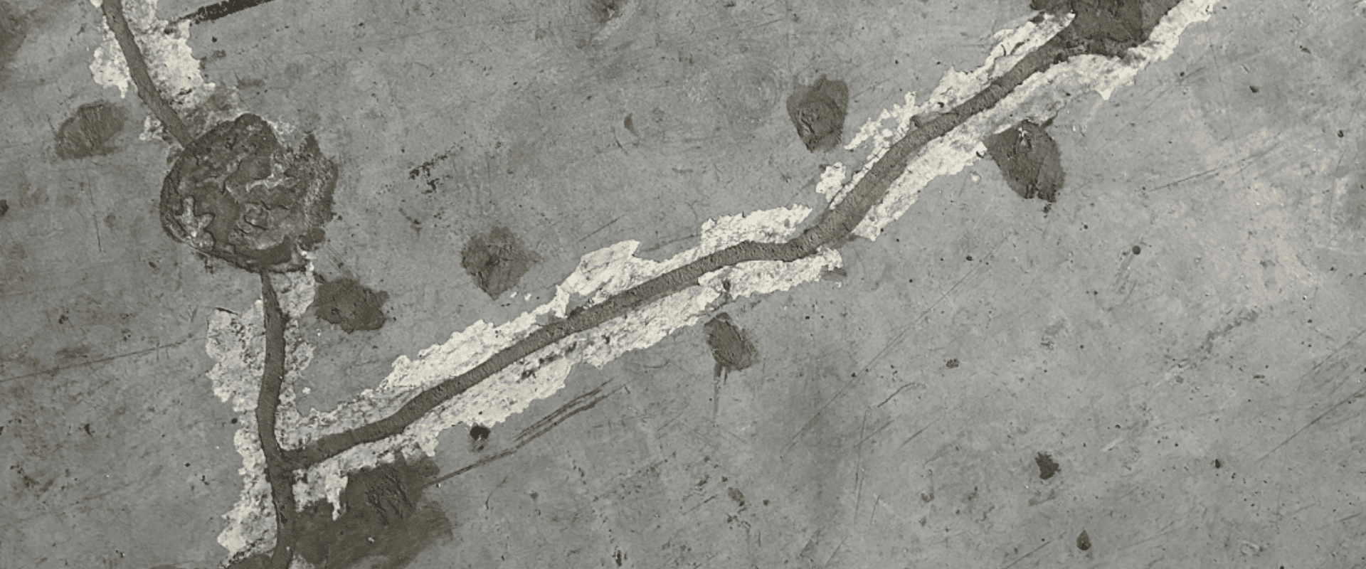 Sonicon Construction Concrete Repair