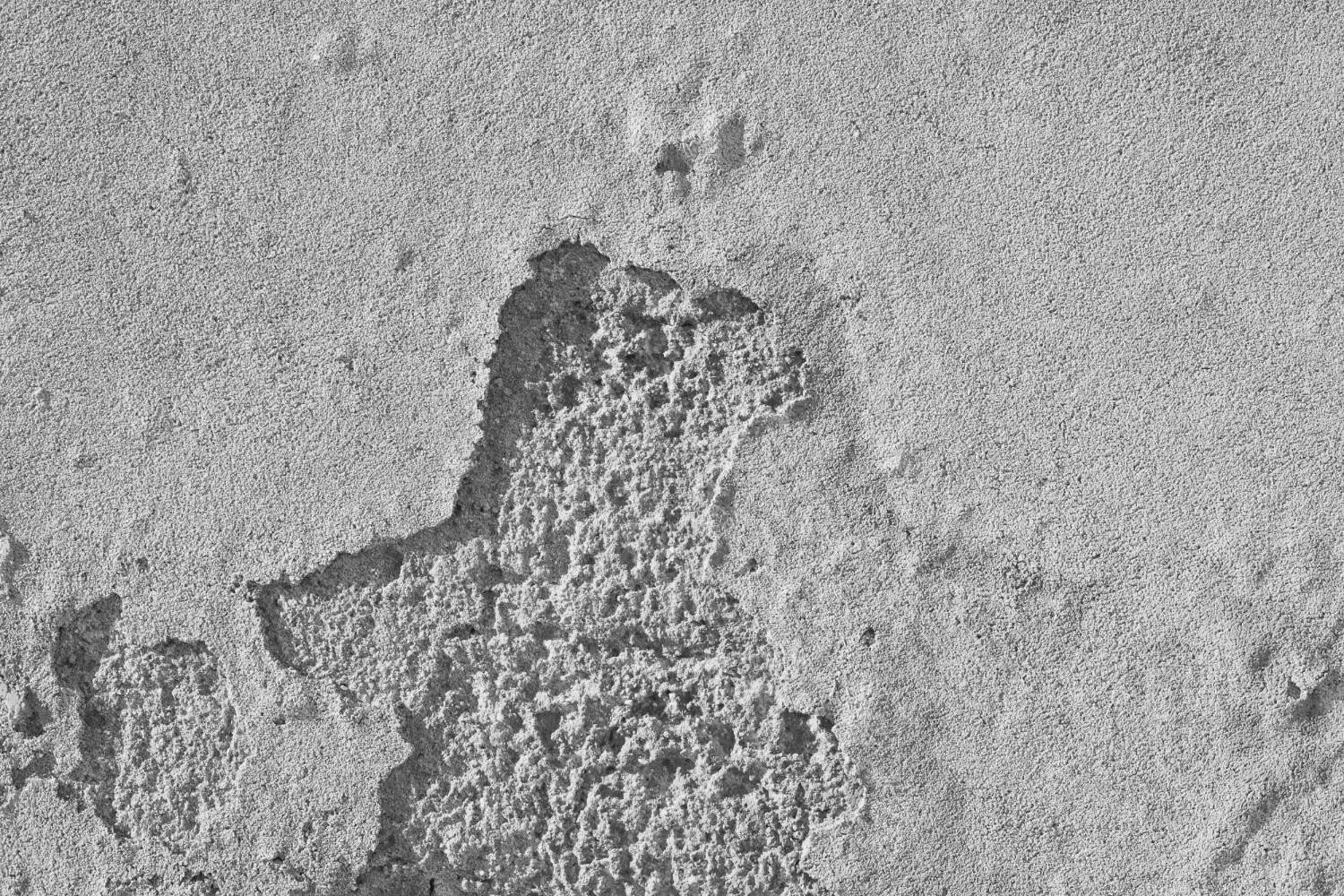 Effloresence in Concrete